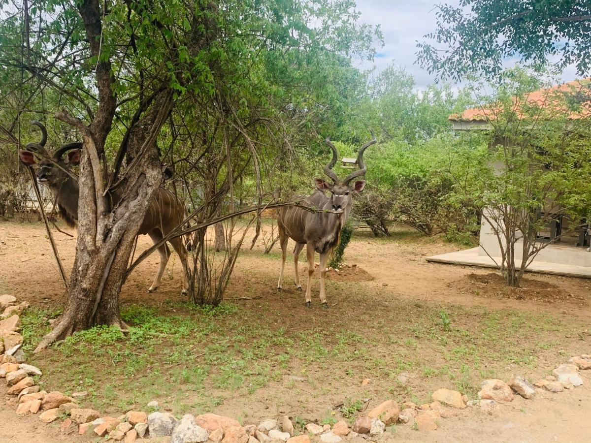 Villa Impala Lily à Marloth Park Extérieur photo